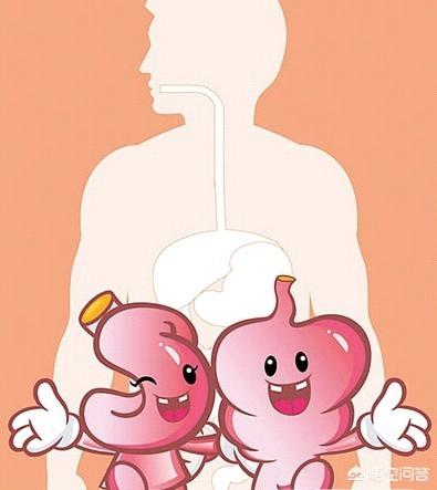 長期腸胃不好，身體消瘦，怎么調(diào)理？