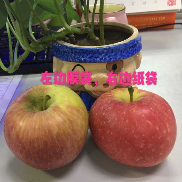 解說紙袋和膜袋蘋果