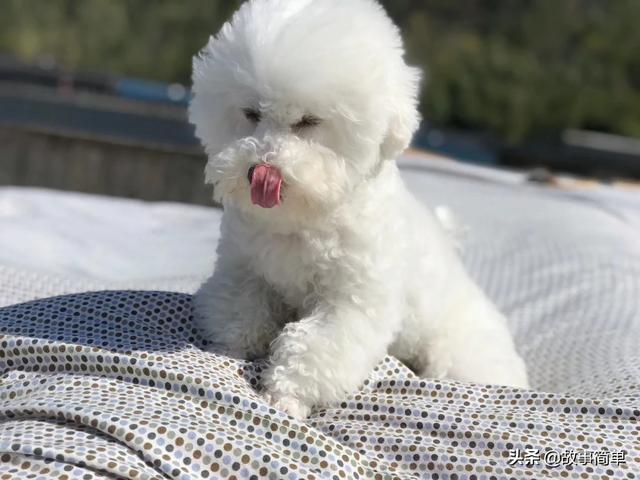 我們的智能手機有什么用手機？