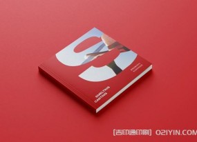 外企業(yè)畫(huà)冊設計印刷