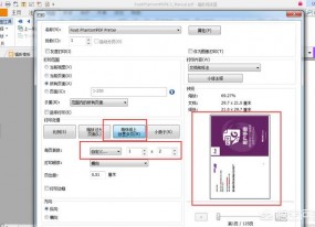 如何把兩頁(yè)PDF顯示在一頁(yè)上面，謝謝？