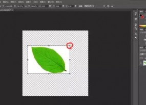 photoshop怎樣調整圖片尺寸和大??？