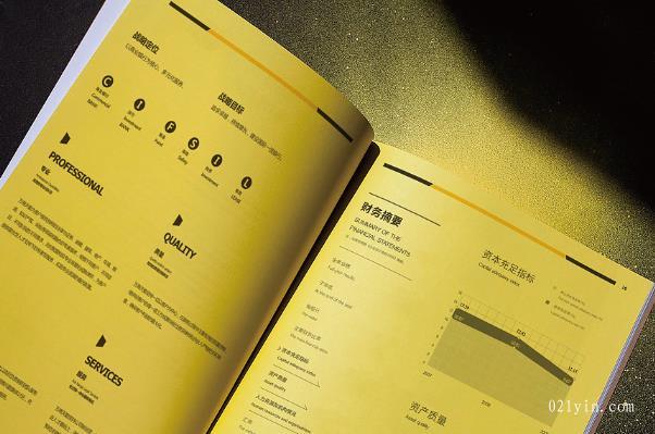 上海印刷公司從哪些角度做好公司畫(huà)冊設計欣賞  第1張