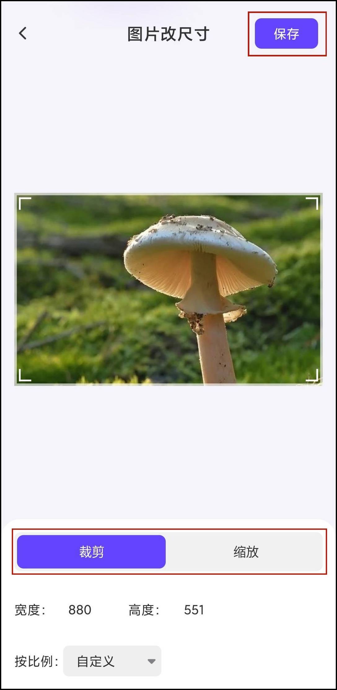 電子駕駛證照片尺寸怎么修改？這里有具體操作  第5張