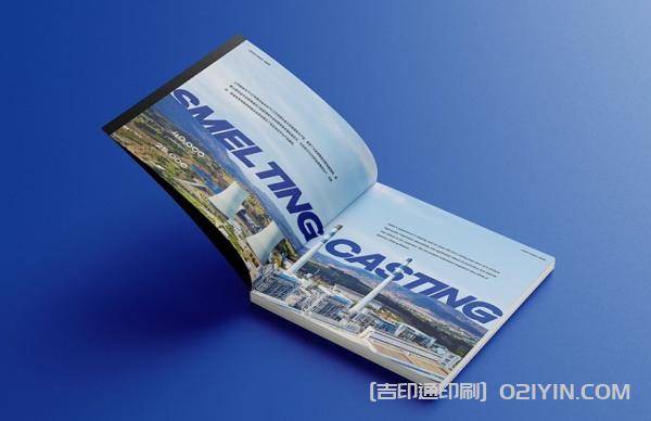 外企業(yè)畫(huà)冊設計印刷  第8張