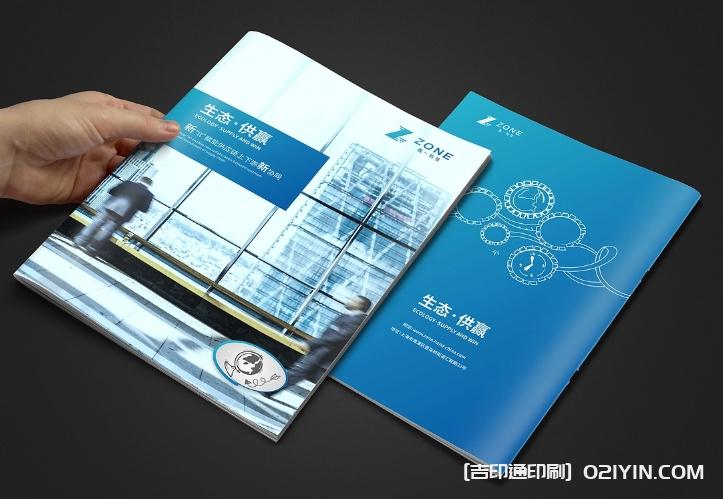 生態(tài)軟件IT供應鏈畫(huà)冊設計  第3張
