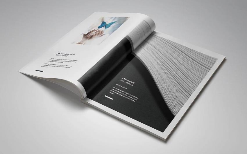 上海企業(yè)畫冊宣傳冊印刷_品牌綜合宣傳_內(nèi)容全面  第2張