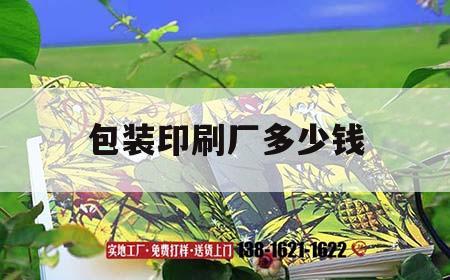 包裝印刷廠(chǎng)多少錢(qián)｜包裝印刷廠(chǎng)投資需要多少錢(qián)  第1張