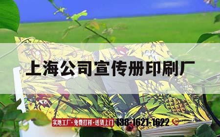 上海公司宣傳冊印刷廠(chǎng)｜上海印刷廣告公司